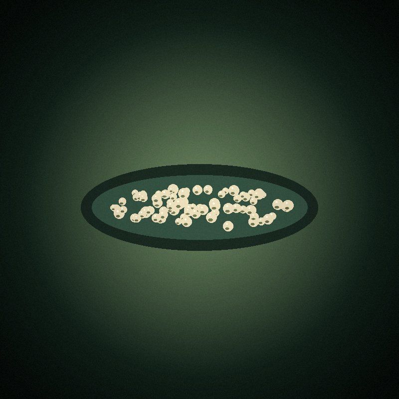 Caviar